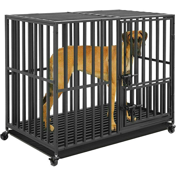 Escape proof hot sale dog crates